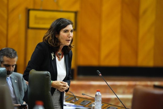 La consejera de Empleo, Empresa y Trabajo Autónomo de la Junta de Andalucía, Rocío Blanco, en el pleno del Parlamento de Andalucía.