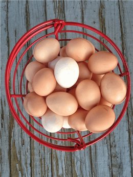 Sube elprecio de los huevos