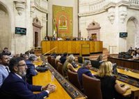 El Parlamento reclama al Gobierno central "solución urgente" a las "graves incidencias" en VioGén