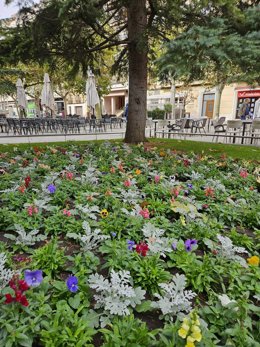 Finaliza la plantación de flores de otoño en Calahorra