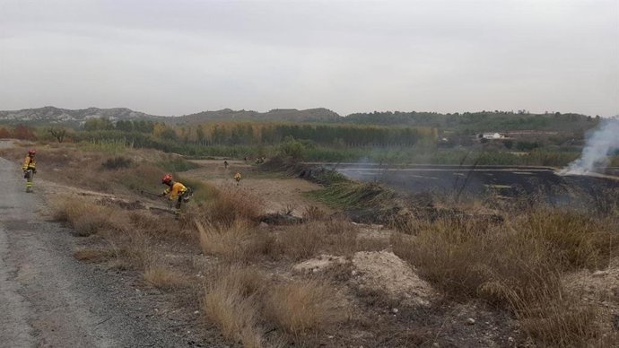 Bomberos trabajan en la zona afectada por el incendio