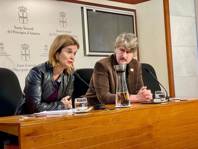 La secretaria de Política Autonómica de Sumar, la diputada andaluza Esperanza Gómez, junto al portavoz parlamentario de IU-Convocatoria, XAbel Vegas, en la Junta General.