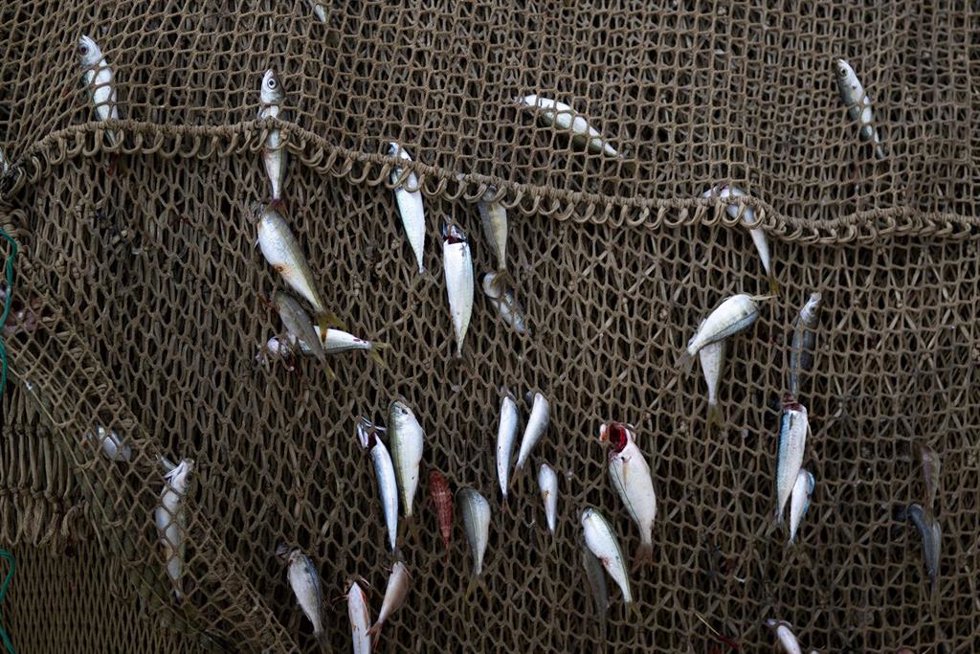 Archivo - Materiales de pesca en el Puerto de Arenys, a 11 de diciembre de 2024, en Arenys de Mar, Barcelona, Catalunya (España).