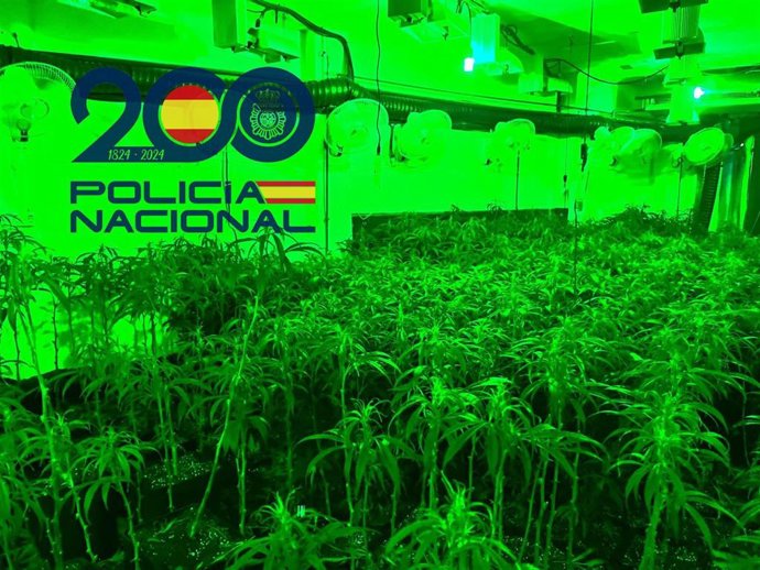 "Guardería De Droga" Desmantelada En Sevilla Por La Policía Nacional.