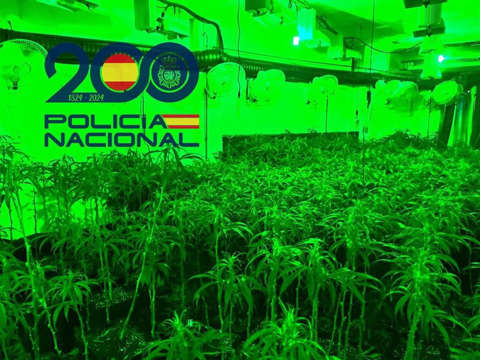 "Guardería De Droga" Desmantelada En Sevilla Por La Policía Nacional.