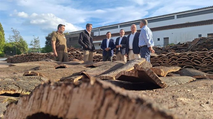 El viceconsejero de Sostenibilidad y Medio Ambiente, Sergio Arjona, junto al delegado territorial de Sostenibilidad en Cádiz, Óscar Curtido, y el responsable de Amaya, David Gimeno, en una finca de almacenaje de corcho.