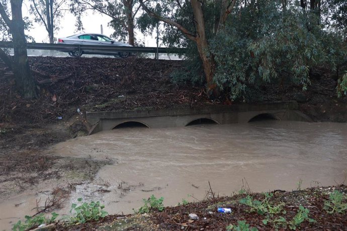 Archivo - Cauce del arroyo El Saladillo que amenaza con desbordarse, en Arahal, durante la Dana de 2024. Imagen de archivo.