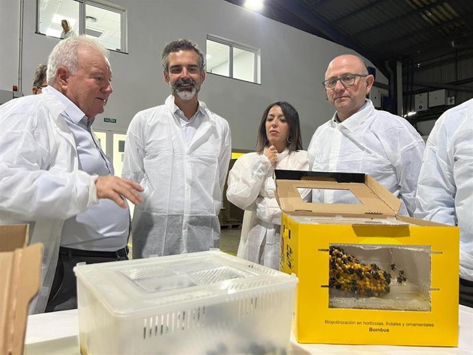 Vídeo de la noticia