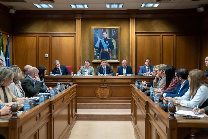 Sesión plenaria extraordinaria de la Diputación de Almería.