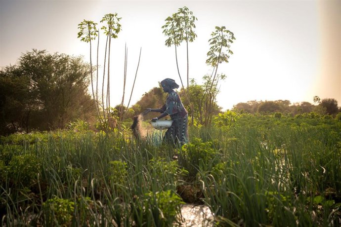 Archivo - Senegal Soberania Alimentaria