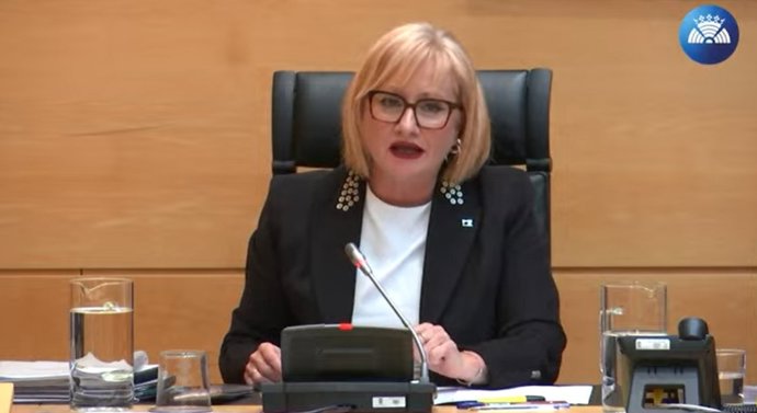 La consejera de Industria, Leticia García, durante su intervención en la Comisión de Economía y Hacienda de las Cortes.