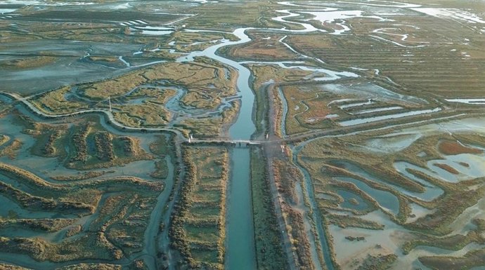 Vista aérea de los esteros de San Fernando