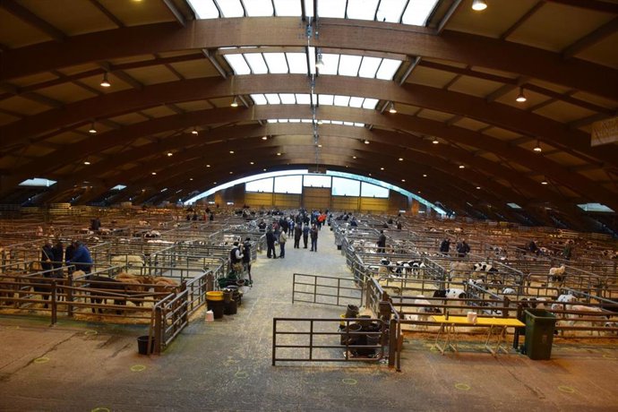 Archivo - El Mercado Nacional de Ganados de Pola de Siero retoma su actividad comercial.
