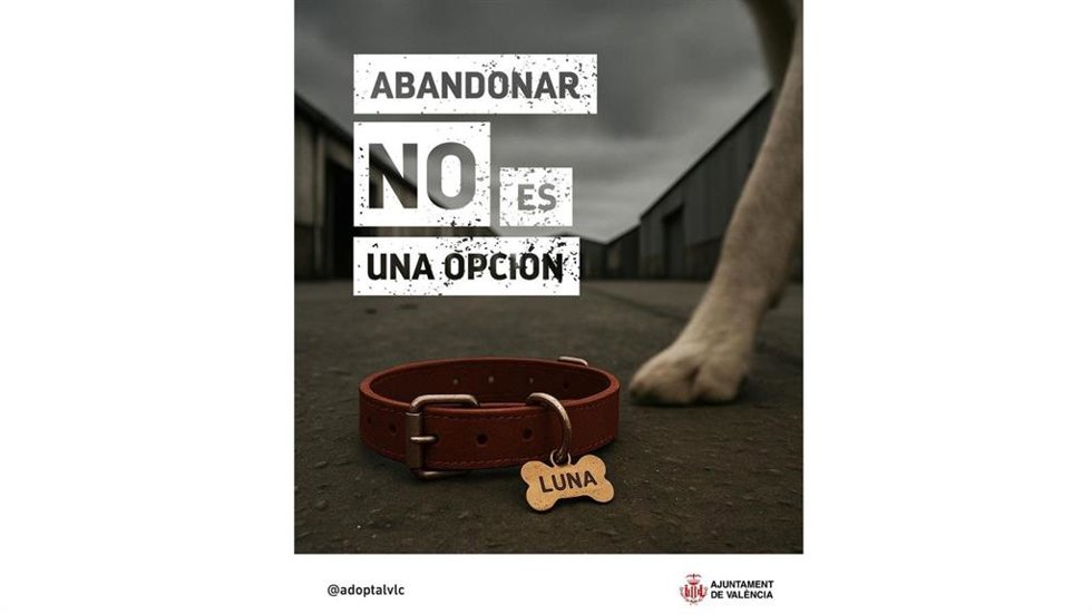 El Ayuntamiento de Valncia lanza la campaña "Abandonar NO es una opción" para sensibilizar contra el abandono animal
