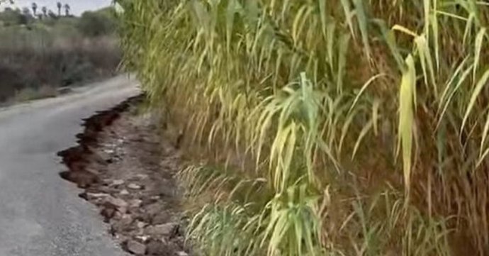 PSOE de Rociana del Condado critica "abandono" de caminos rurales