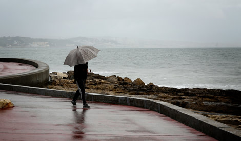 notibrasil sociedade