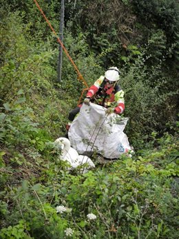 Rescate del cisne