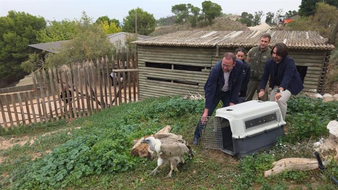El concejal de Desarrollo Urbano y Ciudad Inteligente, José Guillén, y el director de Terra Natura Murcia, Gustavo Martínez, durante la suelta del animal.