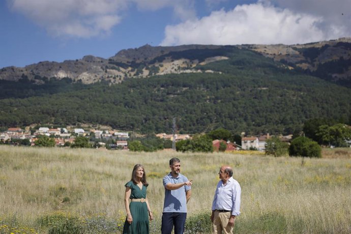 Archivo - La Comunidad de Madrid ha adjudicado la redacción de los proyectos para la construcción de un nuevo matadero en Buitrago del Lozoya y de un centro deportivo de atletismo en El Escorial a la empresa pública Planifica Madrid.