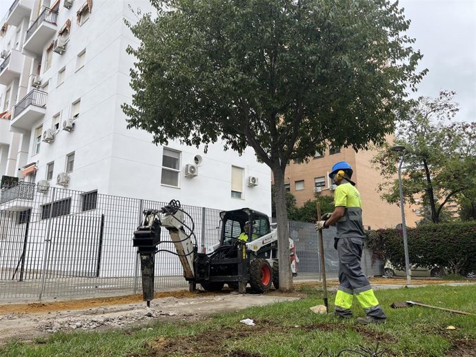 El Ayuntamiento mejora los jardines de Médicos Sin Fronteras en Sevilla Este con mobiliario sostenible