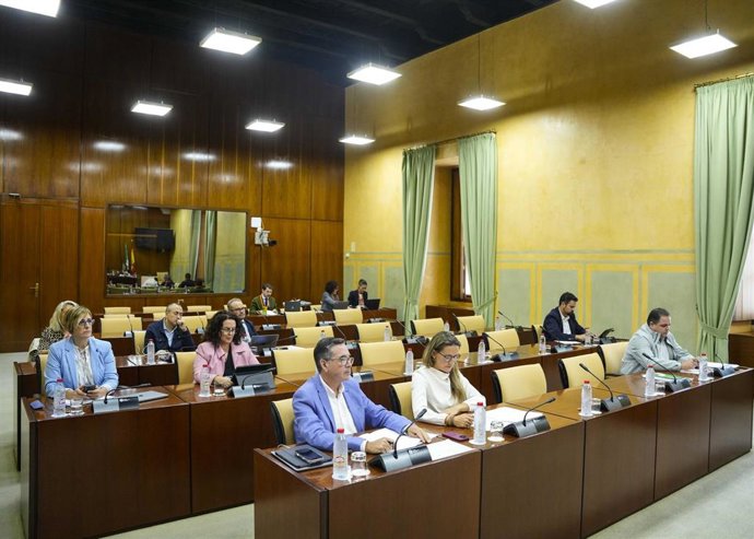 Sesión de la comisión de Justicia, Administración Local y Función Pública del Parlamento andaluz. (Foto de archivo).
