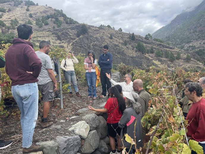 El sector vitivinícola estudia en La Palma cómo mejorar la respuesta ante la erosión y fragilidad de suelos volcánicos