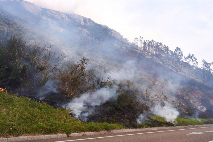 Humo ocasionado por un Incendio forestal en Cantabria.-ARCHIVO