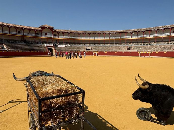 Archivo - Visita guiada plaza de toros de Ciudad Real