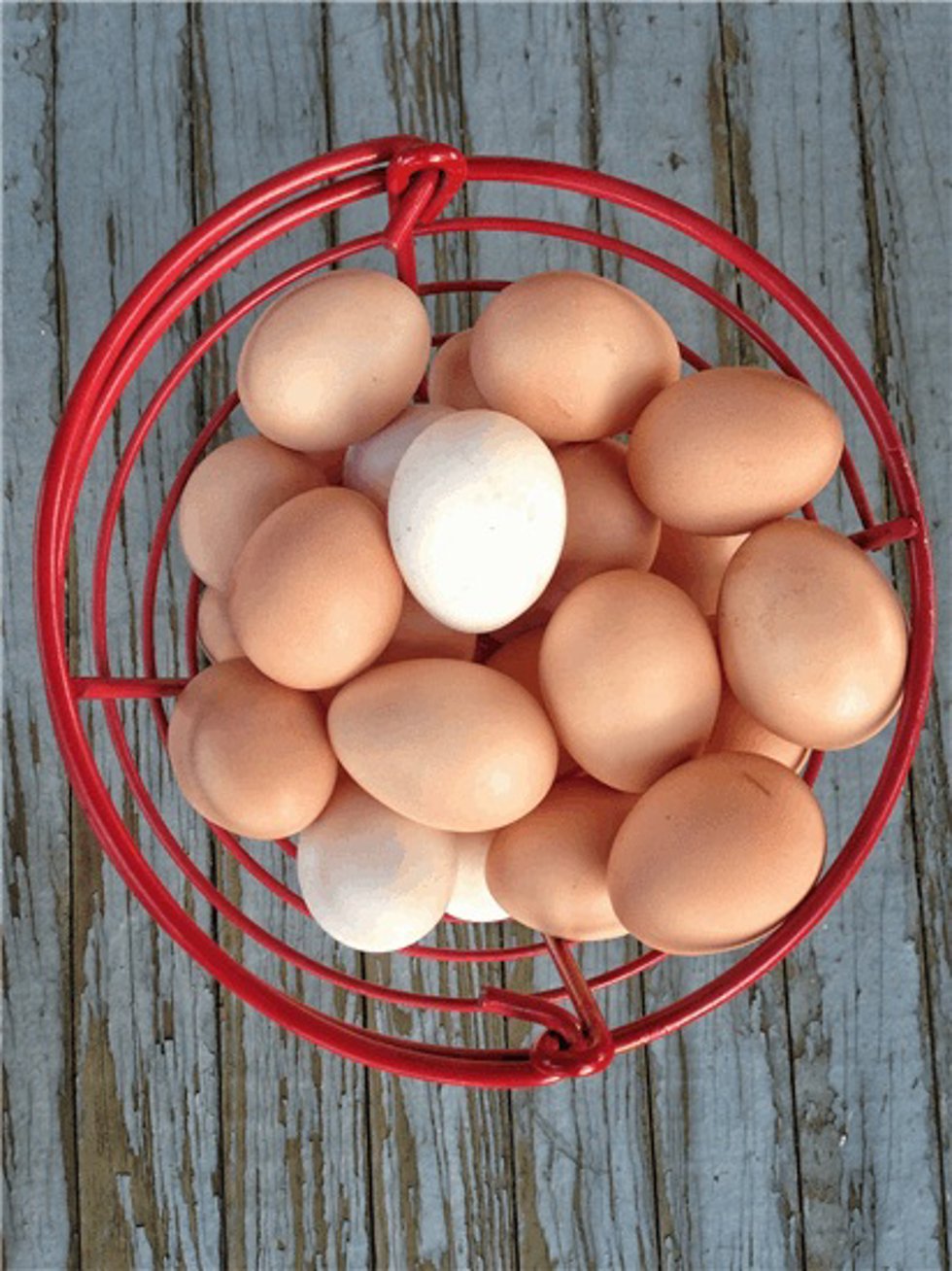 La cárnica brasileña JBS alcanza un acuerdo vinculante para adquirir la estadounidense Hickman's Egg Ranch.