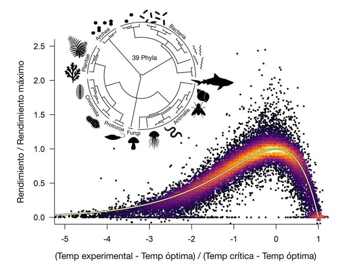 La Curva Universal de Rendimiento Térmico (UTPC) sintetiza el rendimiento biológico en todo el árbol de la vida.