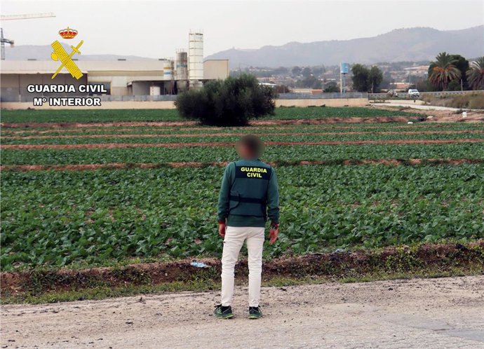 Guardia Civil destapa en una finca de Totana un caso de explotación laboral y detiene a un individuo