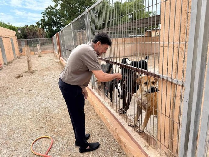 El alcalde de Alicante, Luis Barcala, junto a unos perros