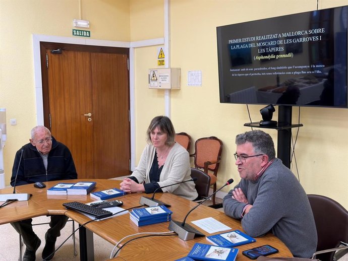 Presentación del primer estudio integral sobre el mosquito de las algarrobas y las alcaparras en Mallorca