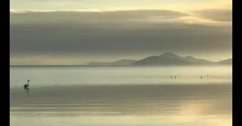 Descubren una nueva fuente de mercurio "hasta ahora ignorada" en la laguna del Mar Menor en Murcia
