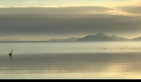 notibrasil sociedade