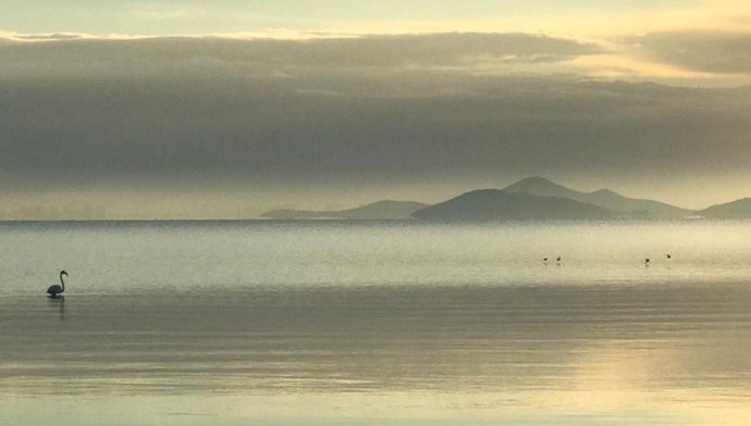 Ao atingir a zona costeira, são criadas as condições adequadas para a formação de metilmercúrio, a forma mais tóxica desse metal.
