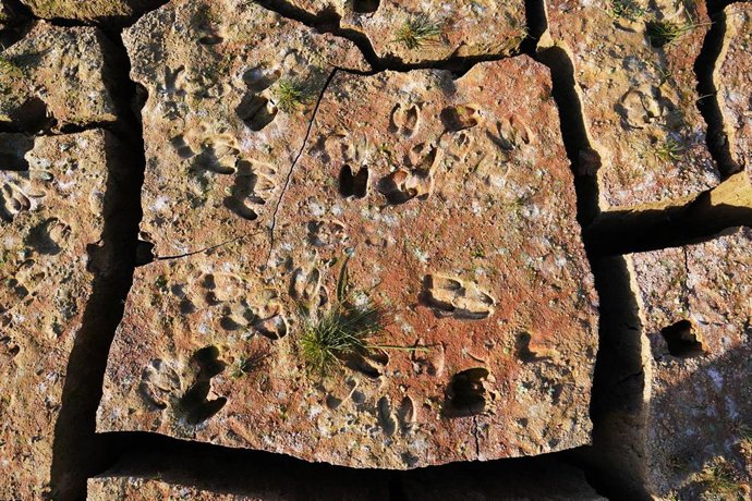 Archivo - Los restos del antiguo pueblo de Peñarubia han quedado al descubierto por la ausencia de agua en el embalse de Guadalteba a causa de la extrema sequía , a 3 de febrero de 2024 en Málaga, Andalucía, (España). 