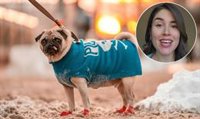 María Vetican, veterinaria: "Poner un abrigo a tu perro no es humanizarlo"