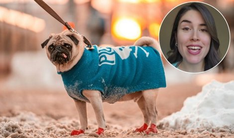 notibrasil sociedade