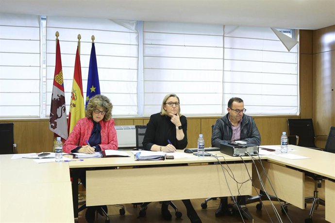 La vicepresidenta de la Junta y consejera de Familia e Igualdad de Oportunidades, Isabel Blanco, participa por videoconferencia en la Conferencia Sectorial de Igualdad.