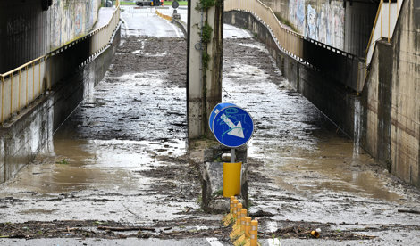 notibrasil sociedade