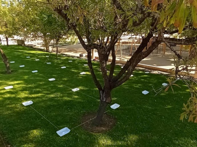 Imagen de evaluación de riego para medir  la cantidad de agua aplicada en cada punto y calcular  la uniformidad de riego en la zona verde estudiada.