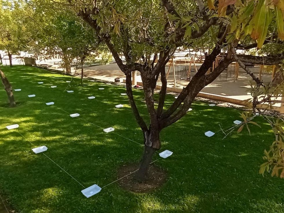 Imagen de evaluación de riego para medir  la cantidad de agua aplicada en cada punto y calcular  la uniformidad de riego en la zona verde estudiada.