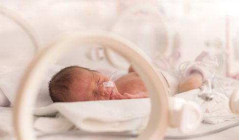 notibrasil sociedade