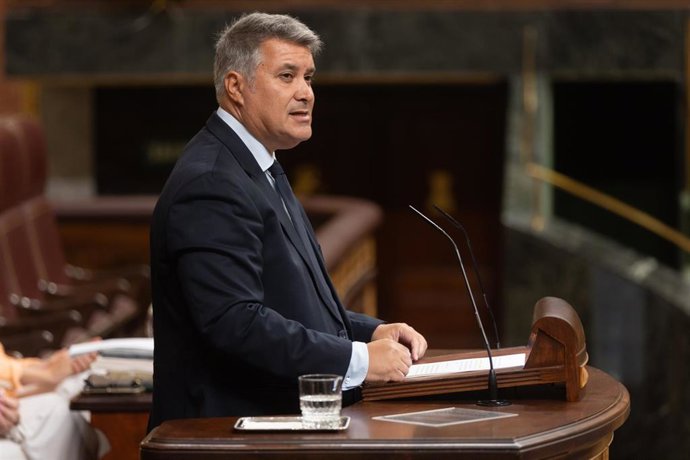 Archivo - El diputado del PP José Ignacio Romaní interviene durante una sesión plenaria en el Congreso.