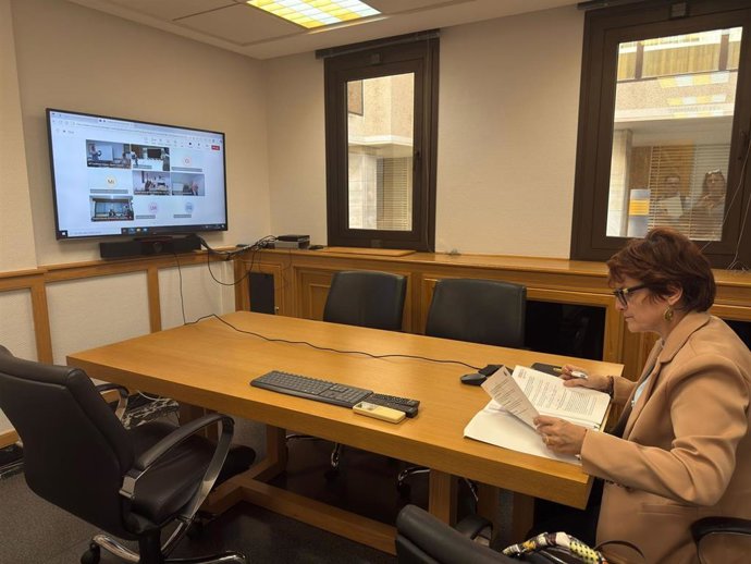 La consejera de Bienestar Social del Gobierno de Canarias, Candelaria Delgado, en la sectorial de Igualdad