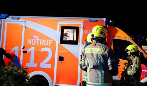 notibrasil sociedade