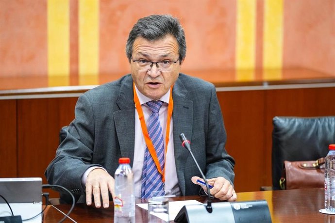 Rafael Ojeda, presidente del Sindicato Médico de Andalucía.