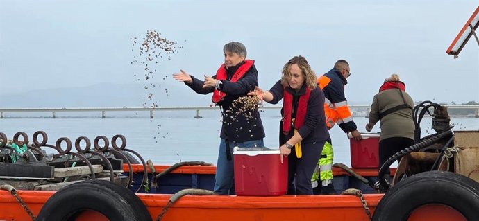 La directora xeral de Desenvolvemento Pesqueiro, Ángeles V. Suárez, arrojando crías de almeja al banco marisquero del Bohído