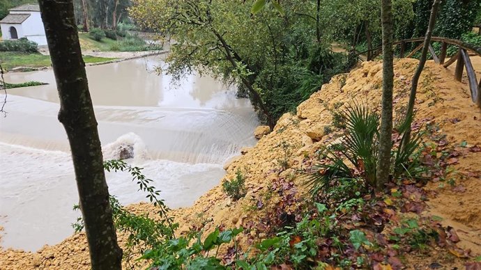 El Camino de Benarosa